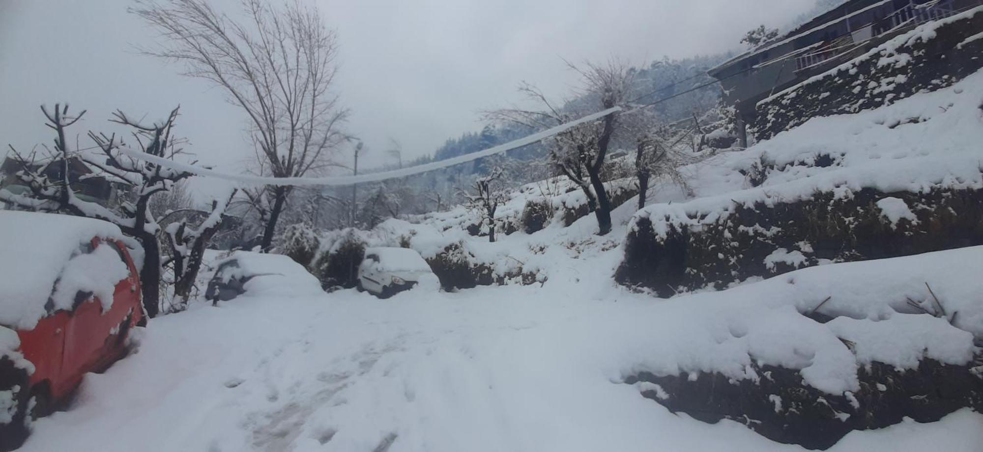 Хостел The Homstel Manali Экстерьер фото